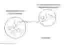 Fig. 01 - Imide-based modulators of proteolysis and associated methods of use