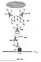 Fig. 20 - Protein proximity assay in formalin fixed paraffin embedded tissue using caged haptens
