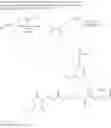 Fig. 45 - Protein proximity assay in formalin fixed paraffin embedded tissue using caged haptens