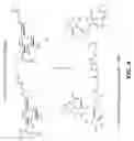 Fig. 09 - Highly potent multimeric e-selectin antagonists