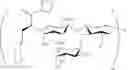 Fig. 136 - Highly potent multimeric e-selectin antagonists