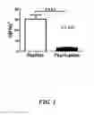 Fig. 02 - PNEUMOCOCCAL INHIBITORY FACTOR COMPOSITIONS AND METHODS OF USE THEREOF