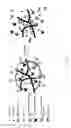 Fig. 02 - THERAPEUTIC COMBINATION AND METHOD FOR TREATING CANCER