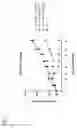 Fig. 02 - Chimeric antigen receptors targeting CD70
