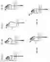 Fig. 07 - Chimeric antigen receptors targeting CD70