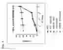 Fig. 08 - Chimeric antigen receptors targeting CD70