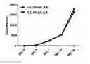 Fig. 01 - Chimeric antigen receptor for efficient selective proliferation in vitro and uses thereof