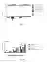 Fig. 40 - Chimeric antigen receptor for efficient selective proliferation in vitro and uses thereof