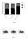 Fig. 43 - Chimeric antigen receptor for efficient selective proliferation in vitro and uses thereof