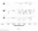 Fig. 09 - Polymer poly (triphenylacrylonitrite) and synthesis thereof