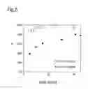 Fig. 06 - Process to prepare polyester polymer and polyester polymer obtainable thereby