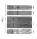 Fig. 02 - STABILITY OF POLYURETHANE POLYOL BLENDS CONTAINING HALOGENATED OLEFIN BLOWING AGENT