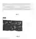 Fig. 02 - Method and composition of making polymer products