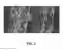 Fig. 02 - Polymeric composition with anti-icing and self-cleaning properties