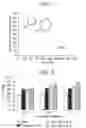 Fig. 02 - Hot melt adhesive compositions containing propylene copolymers and methods for using the same