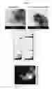 Fig. 07 - HEAT TRANSFER NANOCOMPOSITE MATERIAL