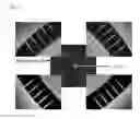 Fig. 04 - MICROFLUIDIC DEVICE FOR STUDYING SHEAR STRESS AND TUMOR MIGRATION IN MICROCHANNEL AND METHOD OF ANALYZING CELLS USING THE MICROFLUIDIC DEVICE