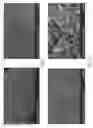 Fig. 02 - BIOCOMPATIBLE MATRICES FOR THE TRANSFER OF BIOLOGICAL MOLECULES