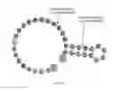 Fig. 197 - CRISPR enzymes and systems