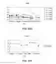 Fig. 41 - METHODS OF MODULATING CYTOSOLIC DNA SURVEILLANCE MOLECULES