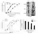 Fig. 02 - Methods of treating a wound using epigenetic regulation