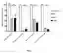 Fig. 06 - Specific substrate of an ALDH isoenzyme