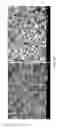 Fig. 27 - Sorption-based atmospheric water harvesting device