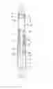 Fig. 03 - MAGNETIC SUSPENSION SHOCK ABSORBER