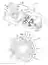 Fig. 02 - CLUTCH DAMPER ASSEMBLY