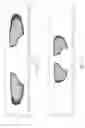 Fig. 13 - Smart headlight