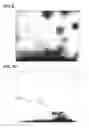Fig. 07 - Optical detection device and optical detection method