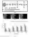 Fig. 08 - METHOD FOR DETECTING ANALYTES USING DIELECTROPHORESIS RELATED APPLICATIONS