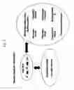 Fig. 02 - HYDROGEN SULFIDE DETECTING APPARATUS