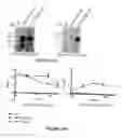 Fig. 22 - OmpA in vaccine compositions and as diagnostic targets