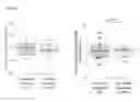 Fig. 22 - Compositions and methods related to the methylation of histone H1.0 protein