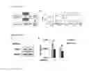 Fig. 07 - METHODS OF DETECTING HYPOXIA-ASSOCIATE PEPTIDES