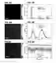 Fig. 11 - Functionalized chromophoric polymer dots and bioconjugates thereof