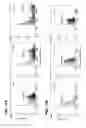 Fig. 14 - Functionalized chromophoric polymer dots and bioconjugates thereof