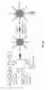 Fig. 27 - Functionalized chromophoric polymer dots and bioconjugates thereof