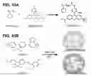 Fig. 49 - Functionalized chromophoric polymer dots and bioconjugates thereof