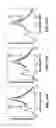 Fig. 57 - Functionalized chromophoric polymer dots and bioconjugates thereof