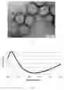 Fig. 02 - Process for making an anti-reflective coating composition and a porous coating made therefrom