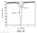 Fig. 08 - Molecular clock