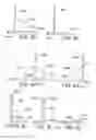 Fig. 09 - Multiple mode display apparatus