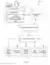 Fig. 02 - Search query and job title proximity computation via word embedding