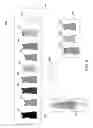 Fig. 09 - Image similarity-based group browsing