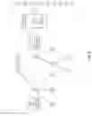 Fig. 08 - Straddling systolic ruletree