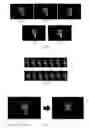 Fig. 06 - Hand detection method and system, image detection method and system, hand segmentation method, storage medium, and device