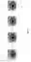 Fig. 04 - Image processing method and system for iris recognition