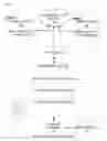 Fig. 01 - MULTIMODAL MACHINE LEARNING SELECTOR